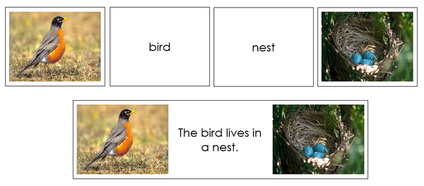 Animals And Their Homes - Montessori Print Shop Digital Download