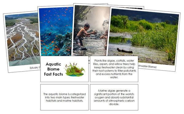 Aquatic Biome Fast Facts & Pictures - Montessori Print Shop