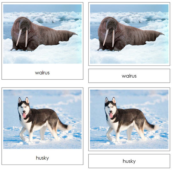 Arctic Safari Toob Cards - Montessori Digital Download - Montessori ...