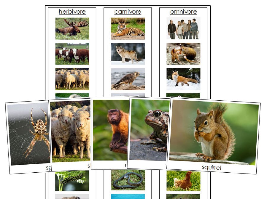 Herbivores, Carnivores, Omnivores - Montessori Print Shop zoology printable
