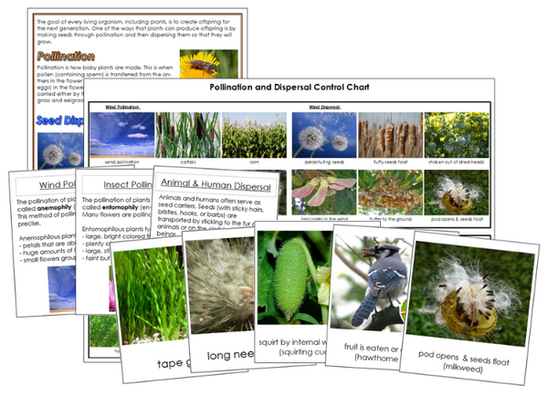 private life of plants seed dispersal Pollination & Seed Dispersal