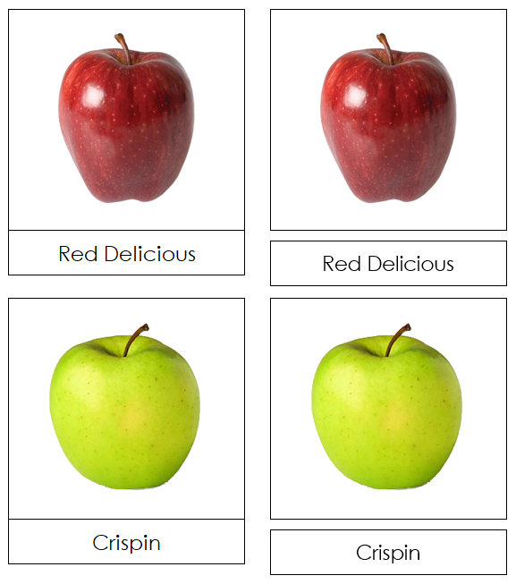 Apple Picture Cards - Montessori Print Shop