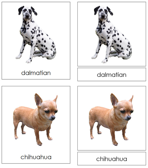 Dogs - Montessori Print Shop Digital Download