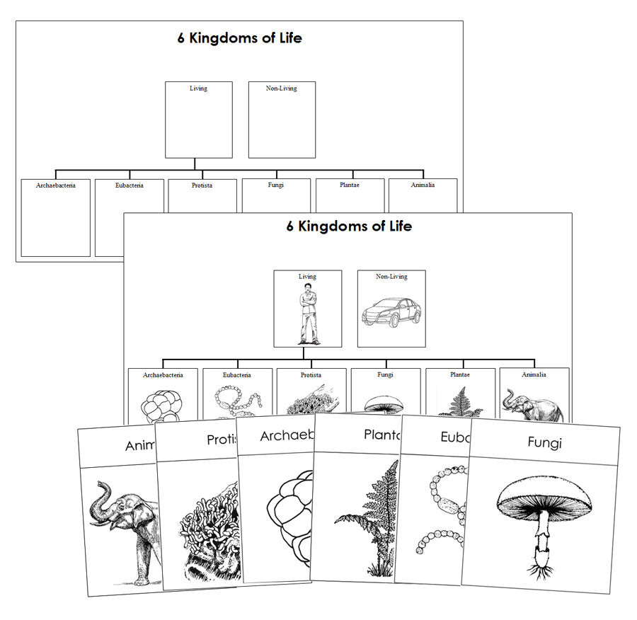 Six Kingdoms of Life Charts & Cards Blackline Masters - Montessori Print Shop
