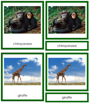 African Animals 3-Part Cards - Montessori Print Shop continent study