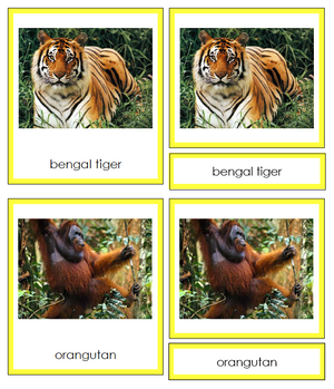Asian Animal Cards - Montessori Print Shop Continent Studies