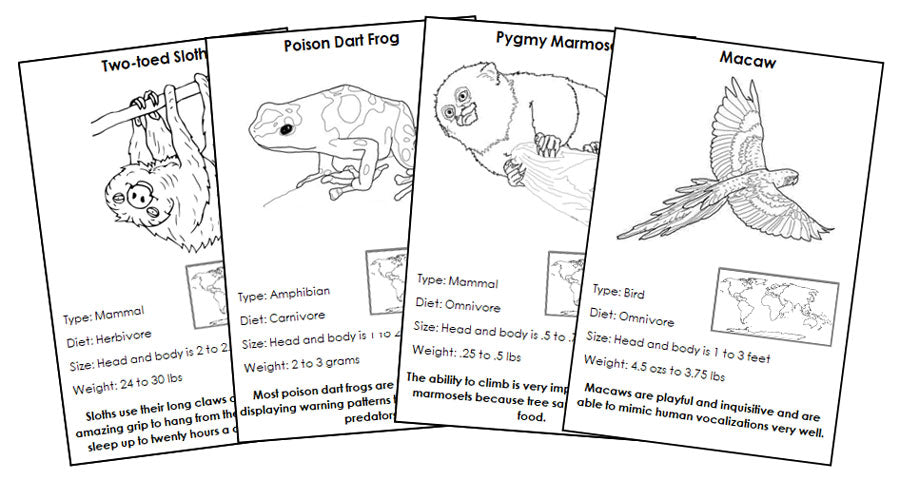Animals of the World Information Cards Blackline Master Bundle - Montessori Print Shop