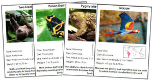 Animals of South America Information Cards (color-coded) - Montessori Print Shop