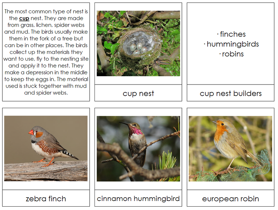 Birds And Their Nests - Montessori Print Shop Zoology