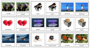 Montessori Classified Cards Bundle - Montessori Print Shop