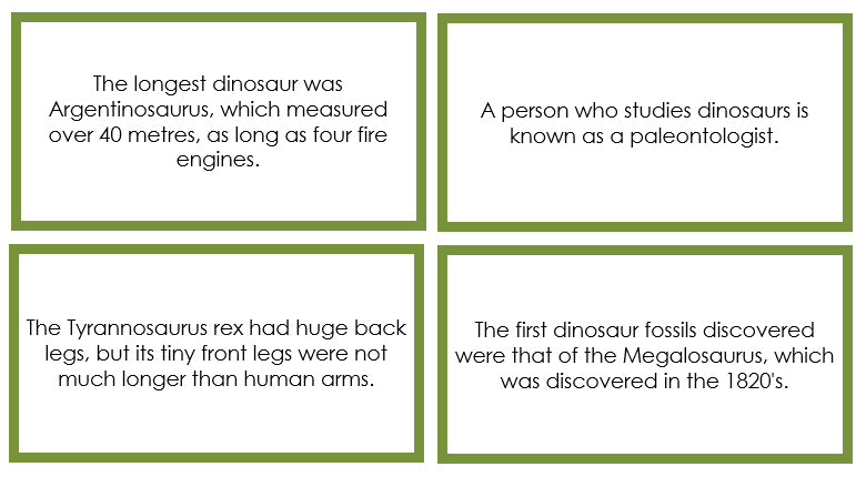 Dinosaur Fun Facts (color borders) - Montessori Print Shop