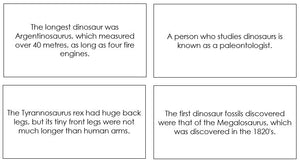 Dinosaur Fun Facts - Montessori Print Shop