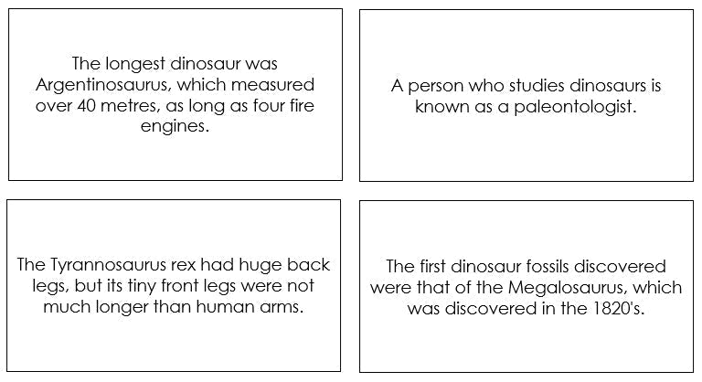 Dinosaur Fun Facts - Montessori Print Shop
