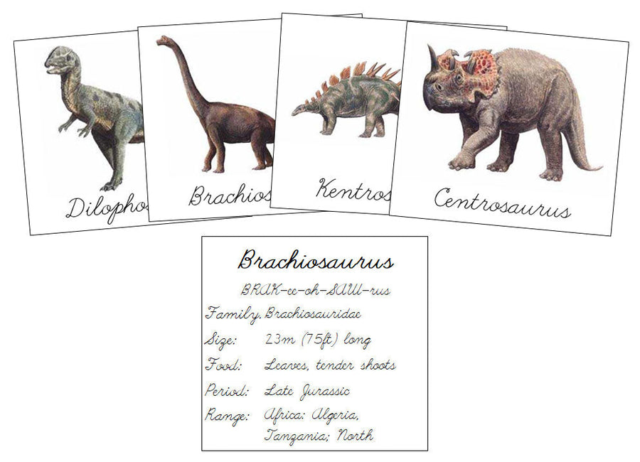 Dinosaurs Set 1 (cursive) - Montessori Print Shop