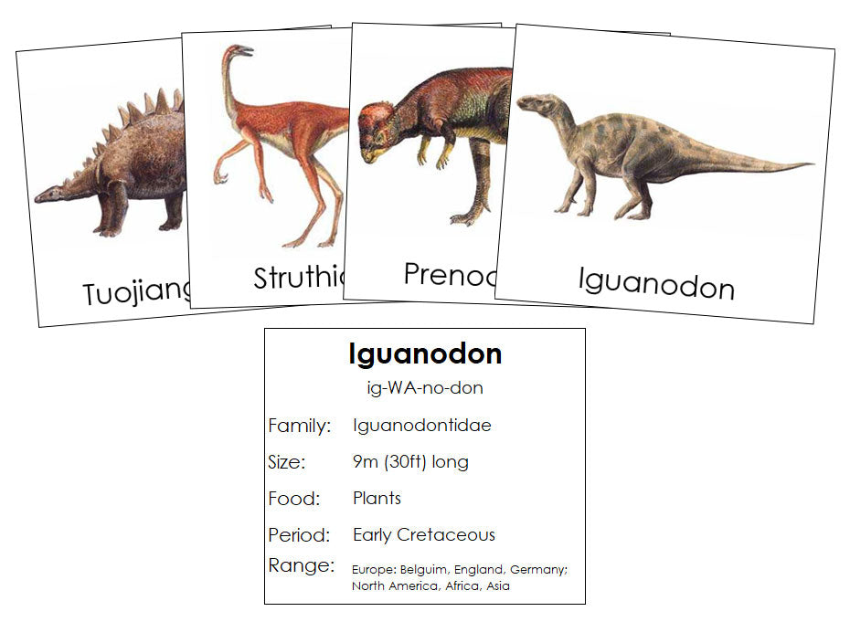 Dinosaurs Set 2 - Montessori Print Shop Science Cards