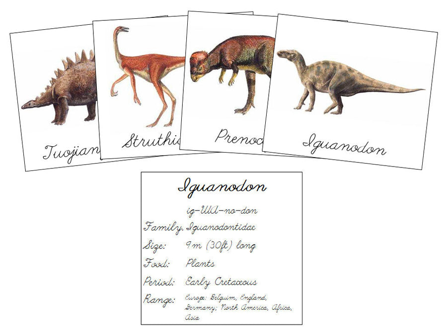 Dinosaurs Set 2 (cursive) - Montessori Print Shop