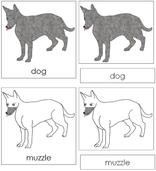 Dog Nomenclature Cards - Montessori Print Shop