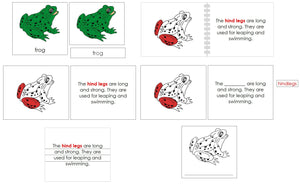 Frog Definition Set - Montessori Print Shop nomenclature