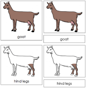 Goat Nomenclature 3-Part Cards - Montessori Print Shop