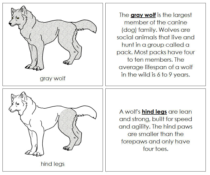 Gray Wolf Nomenclature Book - Montessori Print Shop