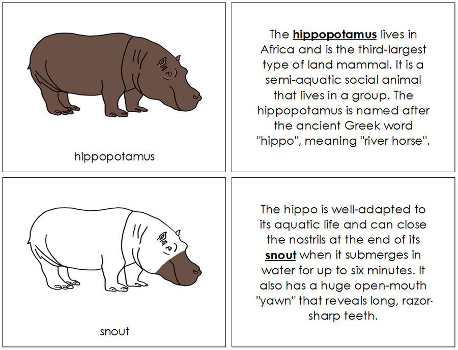 Hippopotamus Nomenclature Book - Montessori Print Shop