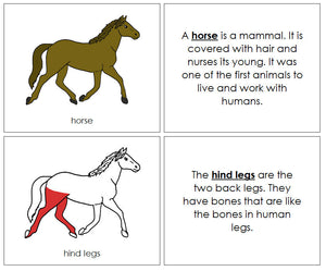 Parts of a Horse Nomenclature Book (red) - Montessori Print Shop