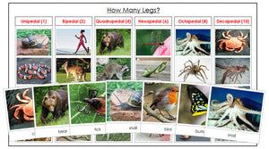 Animals: How Many Legs? - Montessori Print Shop zoology materials