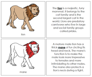 Lion Nomenclature Book (red) - Montessori Print Shop