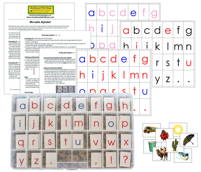 Montessori Moveable Alphabet with Instructions (Print) - Montessori Print Shop