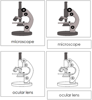 Microscope Nomenclature 3-Part Cards - Montessori Print Shop