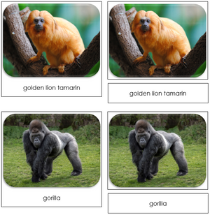 Monkeys and Apes - Safari Toob CardsMonkeys and Apes Safari Toob Cards - Montessori Print Shop