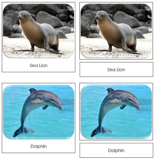 Ocean Safari Toob Cards - Montessori Print Shop