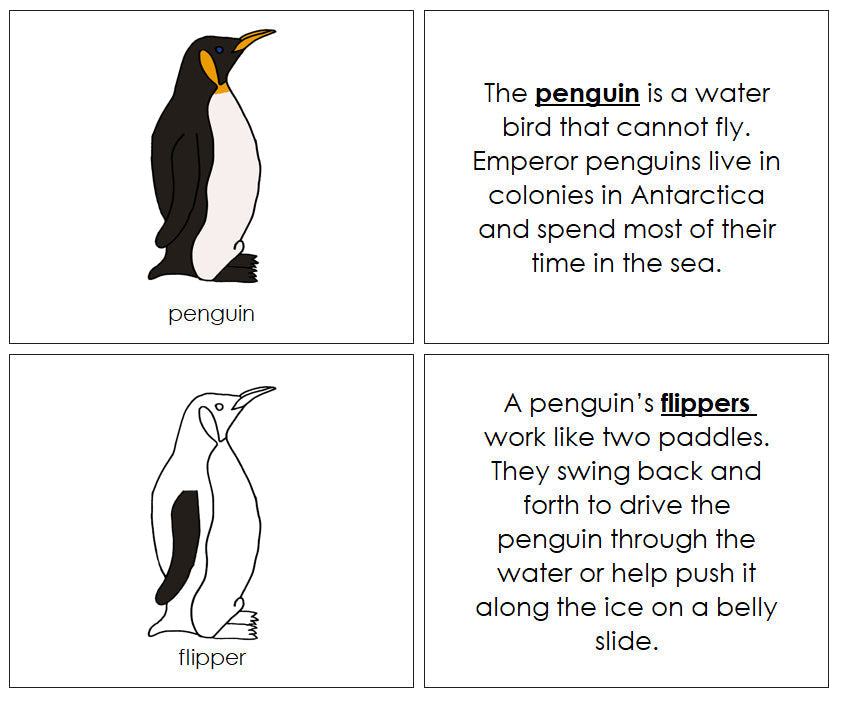Parts of a Penguin Nomenclature Book - Montessori Print Shop