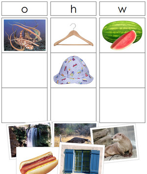 Phonetic Sound & Picture Sorting Cards & Charts - Montessori Print Shop