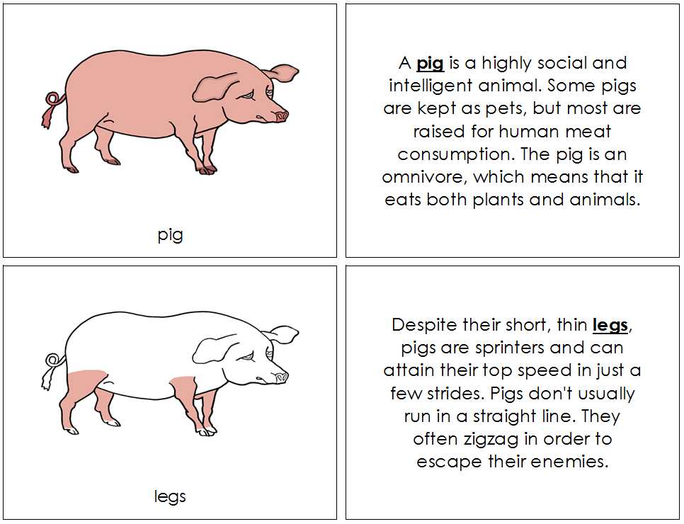 Pig Nomenclature Book - Montessori Print Shop