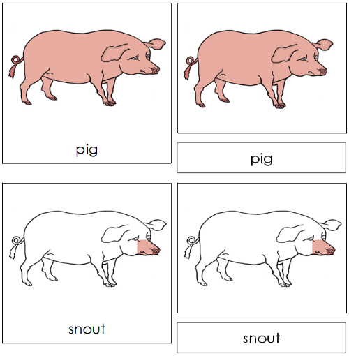 Pig Nomenclature Cards - Montessori Print Shop