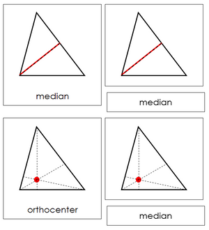 The Study of a Triangle Nomenclature Cards - Montessori Print Shop