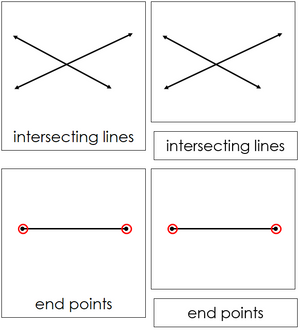 The Study of Lines Nomenclature Cards - Montessori Print Shop