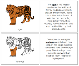 Parts of a Tiger Nomenclature Book - Montessori Print Shop