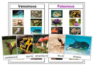Venomous or Poisonous Animals & Plants - Montessori Print Shop science materials
