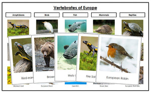 Vertebrates of Europe Sorting Cards - Montessori Print Shop