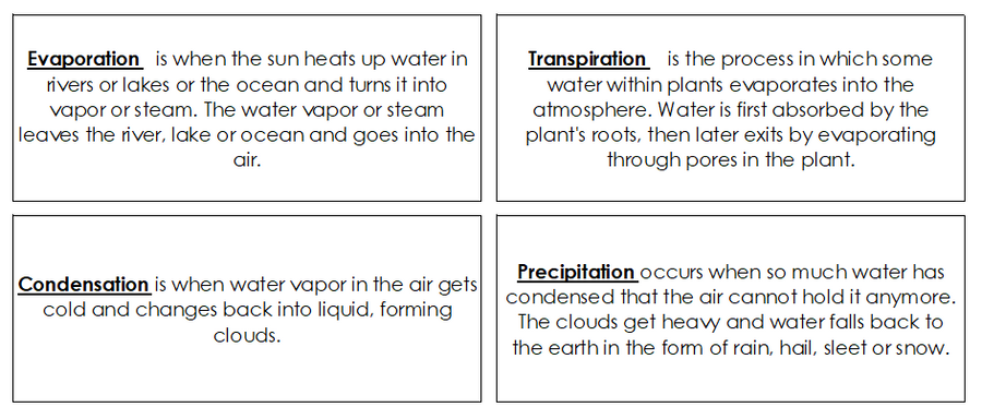 The Water Cycle Charts, Defintion Cards, and Blackline Master - Montessori Print Shop science lesson