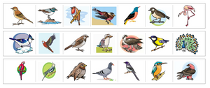 Printable Primary Bird Cutting Strips - Montessori Print Shop