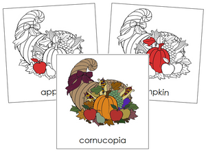 Cornucopia Nomenclature Cards (red) - Montessori Print Shop
