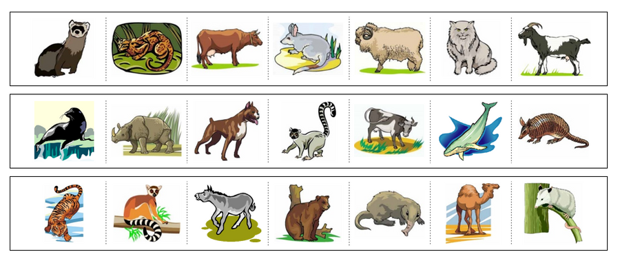 Mammals Cutting Work - Preschool Activity by Montessori Print Shop