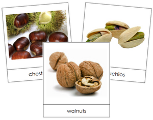 Nut Picture Cards - Montessori Print Shop