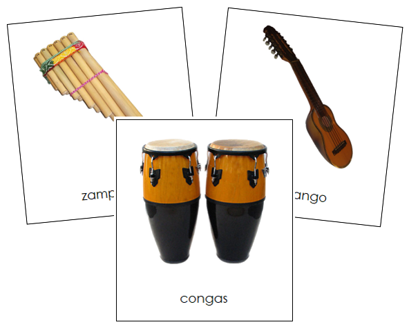 What are the different types of best sale musical instruments of latin american music