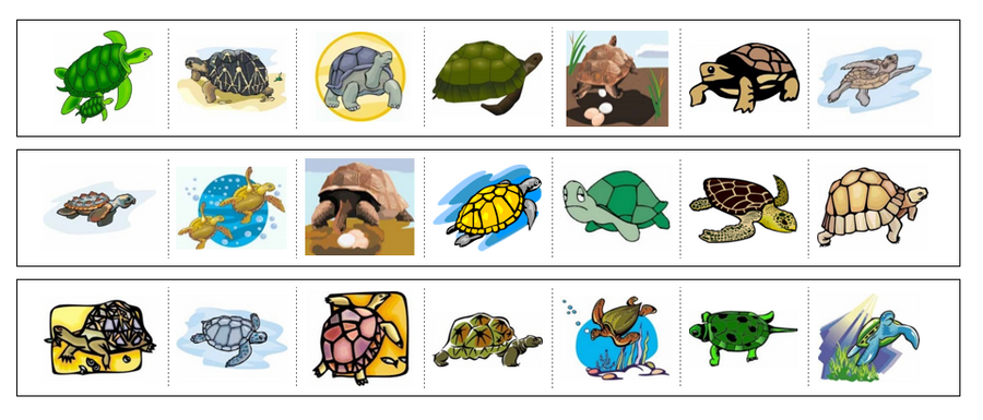 Turtles Cutting Work - Preschool Activity by Montessori Print Shop