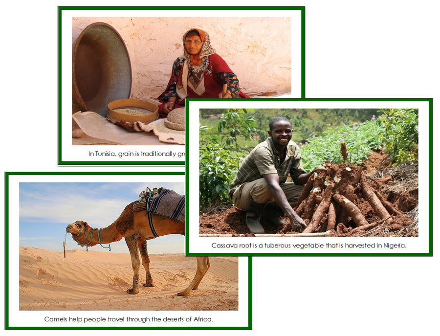 World Continent Cards Bundle (color borders) - Montessori Print Shop Digital Download