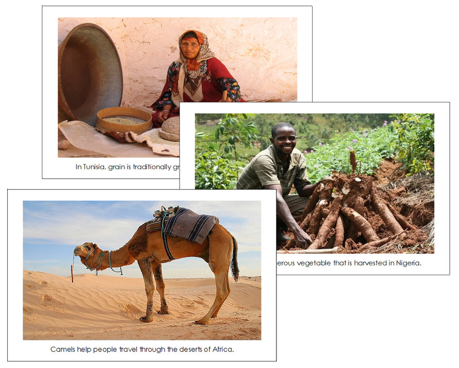 Continent Cards of the World Bundle - Montessori Print Shop Digital Download